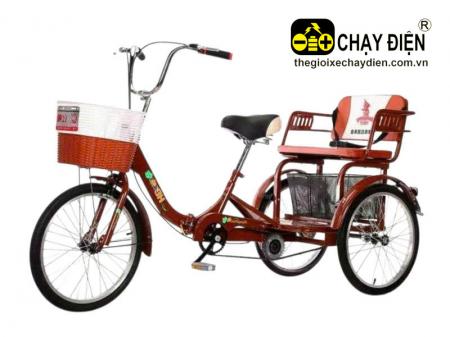 Xe đạp ba bánh cho người già HY20-20
