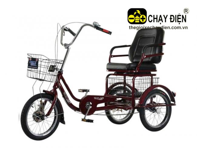 Xe đạp ba bánh cho người già Smart YU Đỏ đô