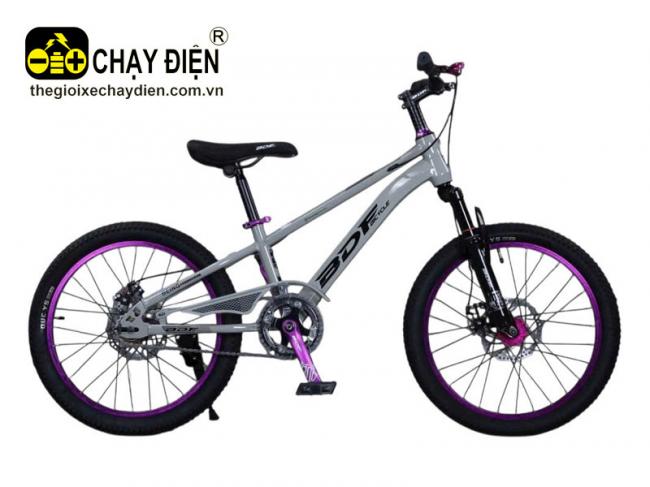 Xe đạp DBF V8 Xám