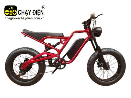 Xe đạp địa hình trợ lực điện Smart D1