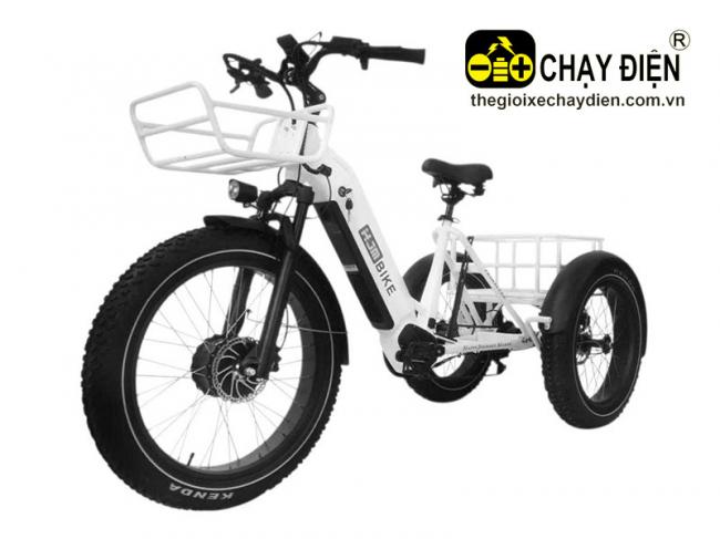Xe đạp điện 3 bánh HJM BIKE Trắng