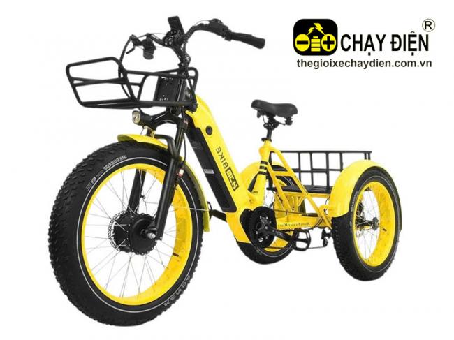 Xe đạp điện 3 bánh HJM BIKE Vàng