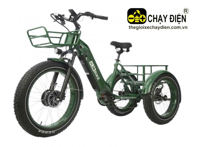 Xe đạp điện 3 bánh HJM BIKE Xanh lá
