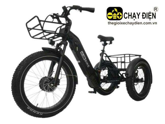 Xe đạp điện 3 bánh HJM BIKE Đen mờ