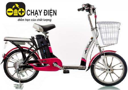 Xe đạp điện Aima ED210E