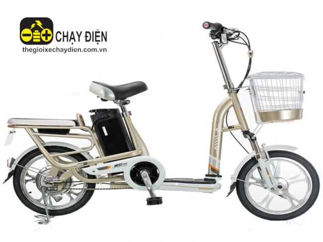Xe đạp điện Aima ED310D Đồng