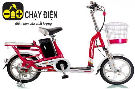 Xe đạp điện Aima ED310D