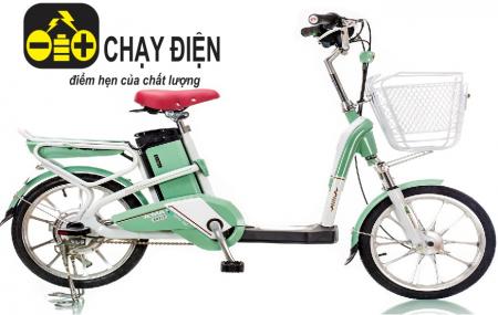 Xe đạp điện Aima ED318