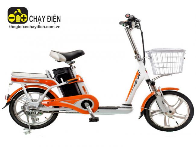 Xe đạp điện Aima ED315 Cam