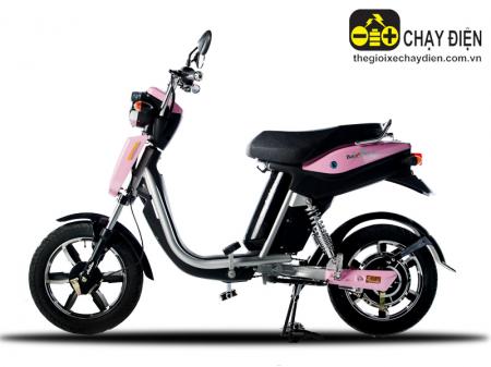 Xe đạp điện Anbico Bat-X