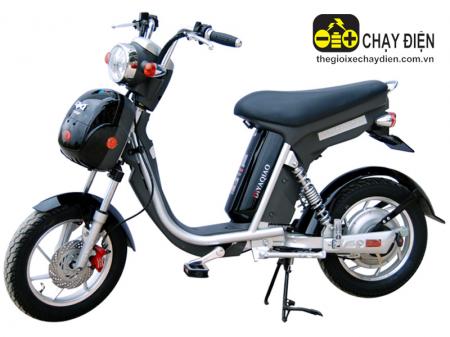 Xe đạp điện Dk Bike DYQ