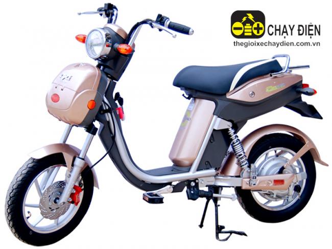 Xe đạp điện Dk Bike DYQ Đồng