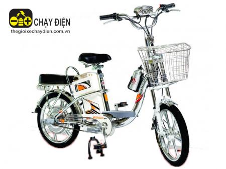 Xe đạp điện Draca Inox 18