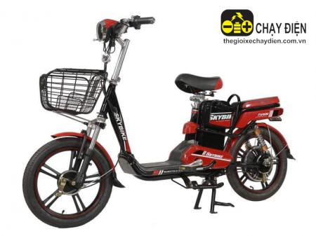 Xe đạp điện DTP Skybike