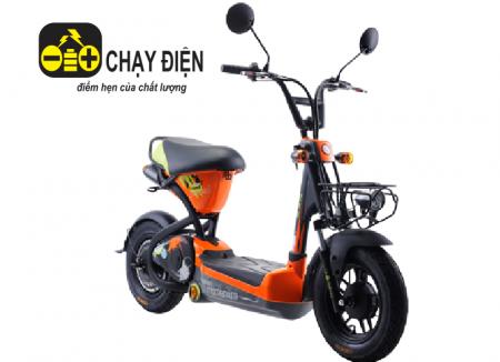 Xe đạp điện Giant M133