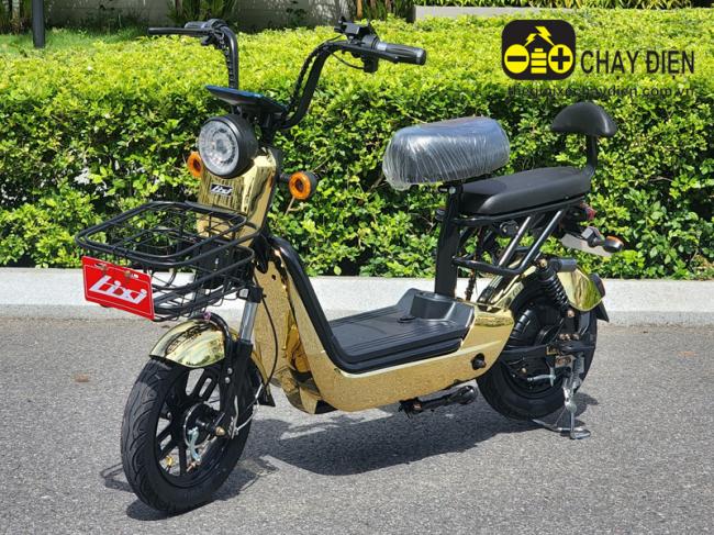 Xe đạp điện Lixi Trái Nho Pro Max Kem