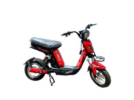 Xe đạp điện Ltp Bike