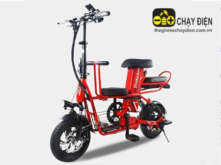 Xe đạp điện nhập khẩu THELI 03 15Ah