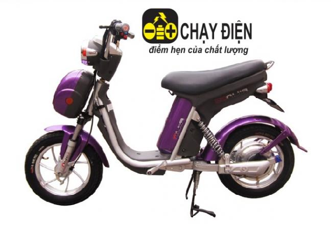 Xe đạp điện Nijia lốp liền săm 2014 Tím