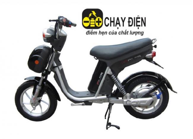 Xe đạp điện Nijia lốp liền săm 2014 Đen bóng