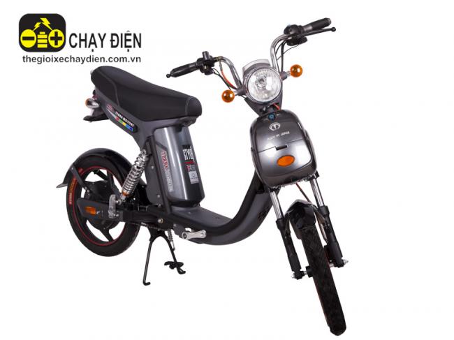 Xe đạp điện Nijia Terra Motors 48V - 12A Xám