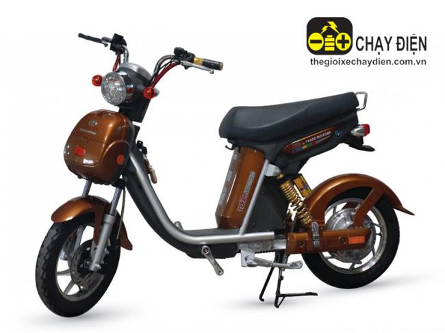 Xe đạp điện Nijia Terra Motors 48V - 20A Nâu