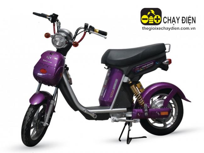 Xe đạp điện Nijia Terra Motors 48V - 20A Tím
