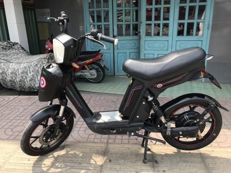 Xe đạp điên Pega Cap a cũ