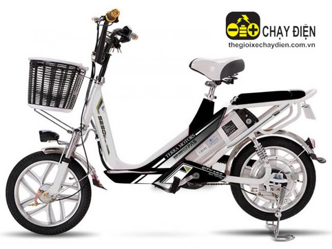 Xe đạp điện Terra Motors S250 Đen bóng
