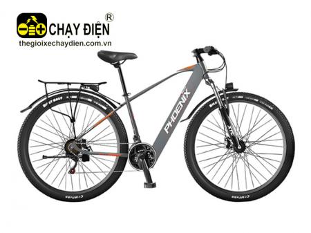 Xe đạp điện trợ lực Phoenix 599