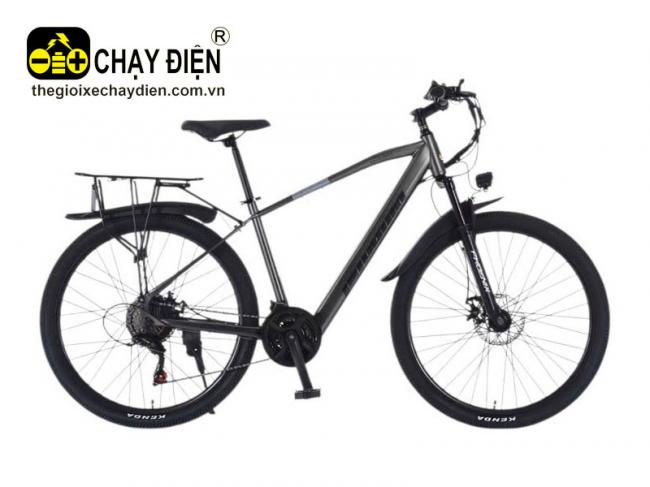 Xe đạp điện trợ lực Phoenix F9 Xám