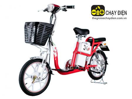 Xe đạp điện Zinger Color 9