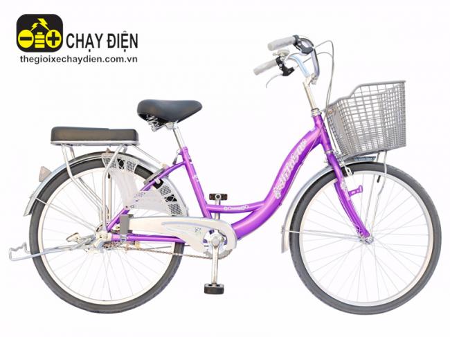 Xe đạp Hitasa 580N Tím