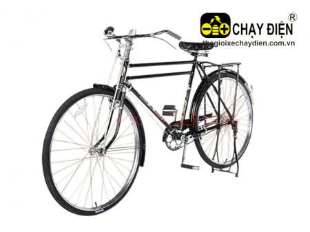 Xe đạp Phượng Hoàng cổ Z28