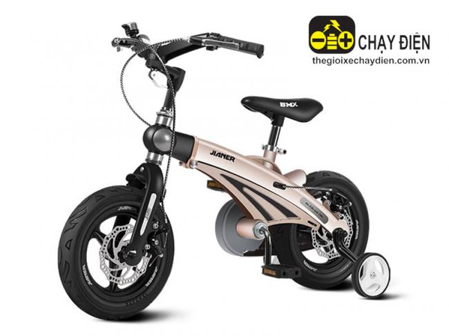 Xe đạp trẻ em S1 12inch Đồng