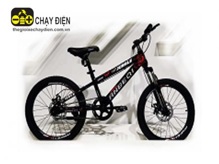 Xe đạp trẻ em US 20inch