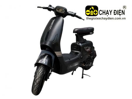 Xe điện Aimia VC