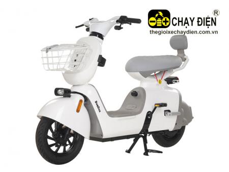 Xe điện DYLEXE K2