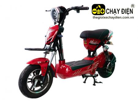 Xe điện EV X1