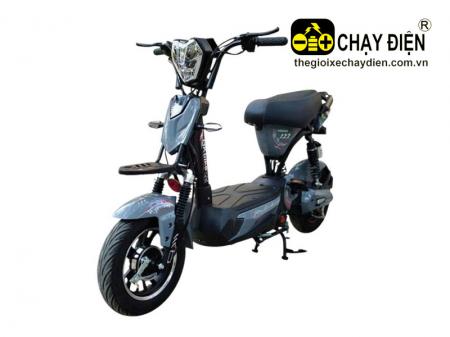 Xe điện Hkbike 133