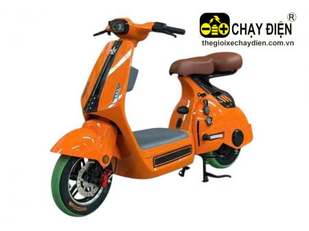 Xe điện LYDEVO D2