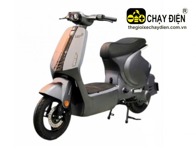 Xe điện M1 MV Xám