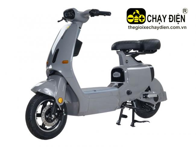 Xe điện Smart VC Xám