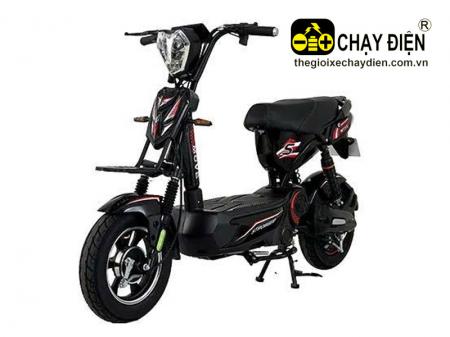 xe điện STRONGER PRO