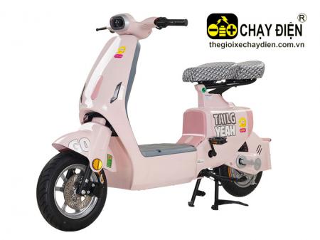 Xe điện TAILG GR55