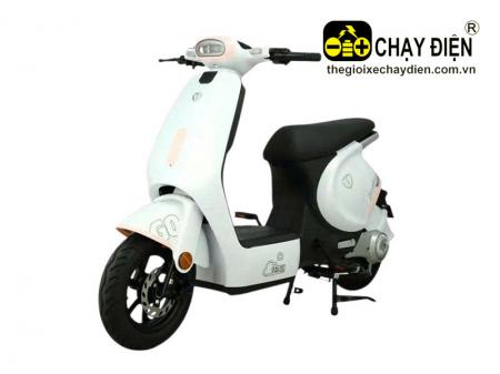 Xe điện TAILG GR56