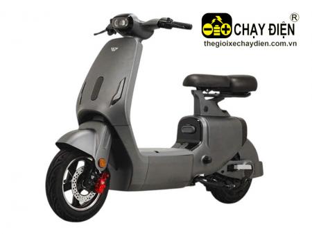 Xe diện V1 Plus Livo