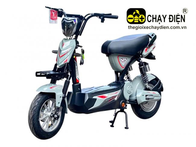 Xe điện Yaka R1 20A Khoai môn