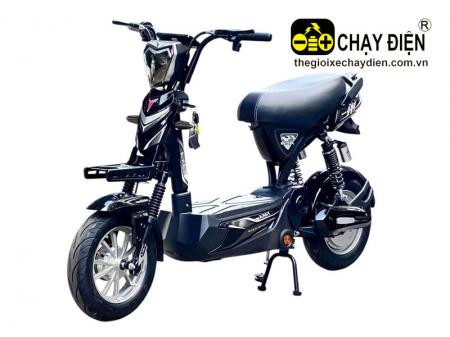 Xe điện Yaka R1 20A