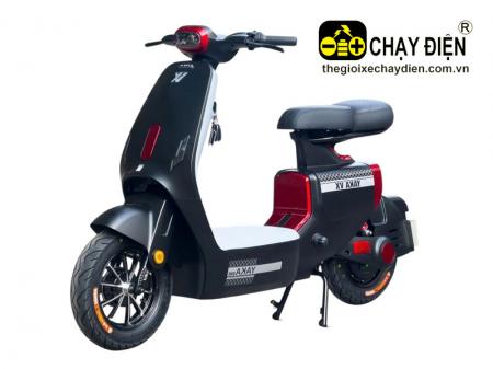 Xe điện YAKA VX
